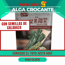 Clarico-3 Columns Style 5