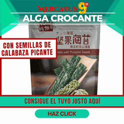 Clarico-3 Columns Style 5