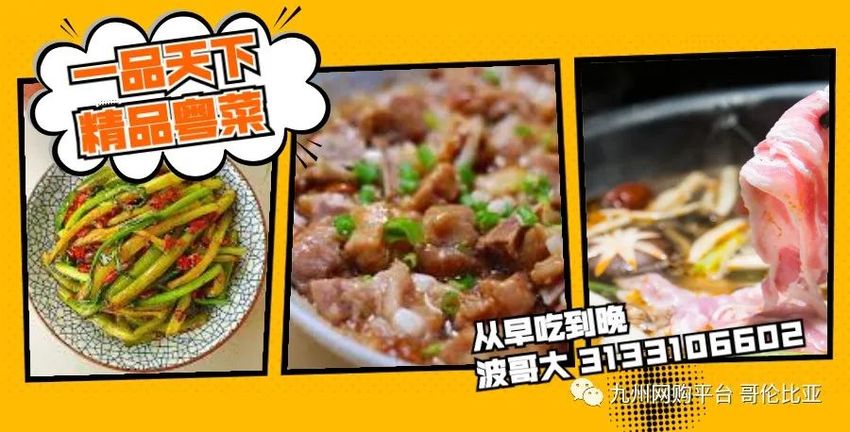 Clarico-3 Columans Style 1