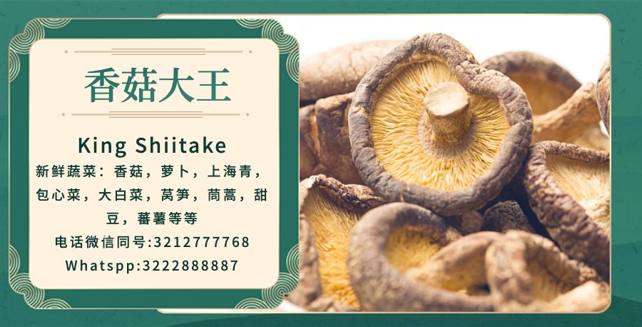 Clarico-3 Columans Style 1