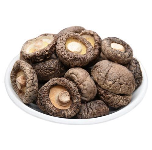 Clarico-Mega Menus Style 4