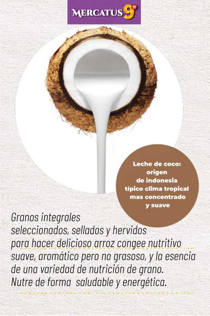 YINLU - ARROZ CONGEE CON AVENA 280G
